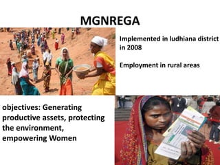 MGNREGA
Implemented in ludhiana district
in 2008
Employment in rural areas
objectives: Generating
productive assets, protecting
the environment,
empowering Women
 