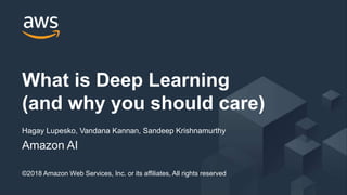 © 2017, Amazon Web Services, Inc. or its Affiliates. All rights reserved.
What is Deep Learning
(and why you should care)
Hagay Lupesko, Vandana Kannan, Sandeep Krishnamurthy
Amazon AI
©2018 Amazon Web Services, Inc. or its affiliates, All rights reserved
 