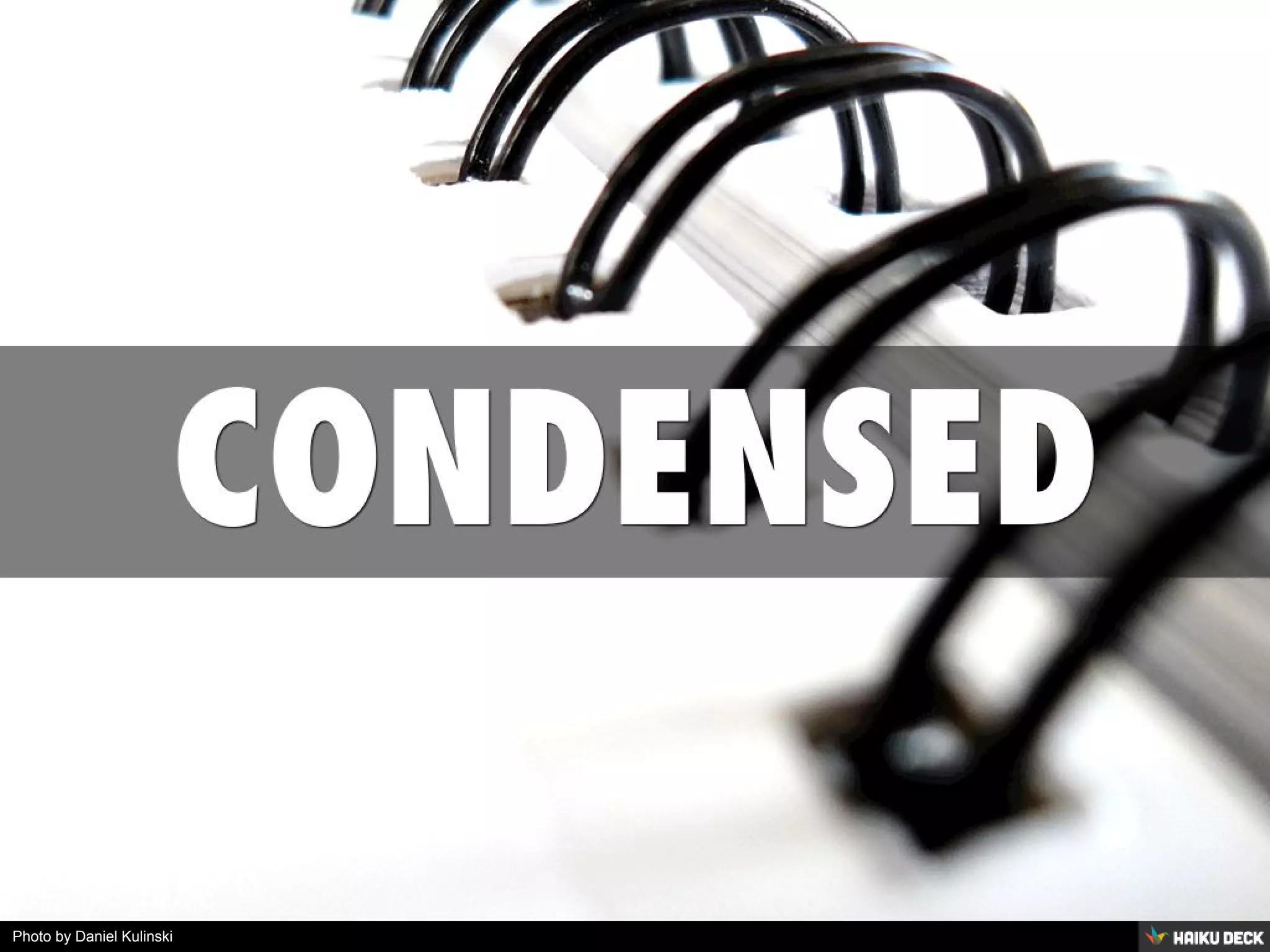 Photo by Daniel Kulinski