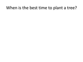 When is the best time to plant a tree?

 