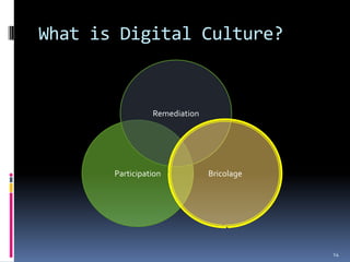 What is Digital Culture?