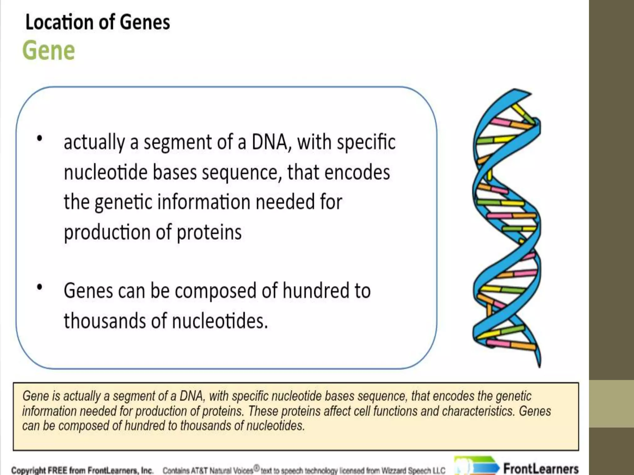 What is DNA | PPTX