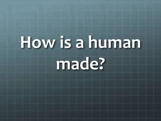 How is a human
   made?
 