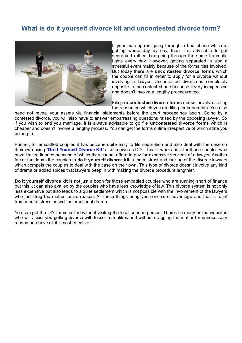 Do It Yourself Divorce Kit