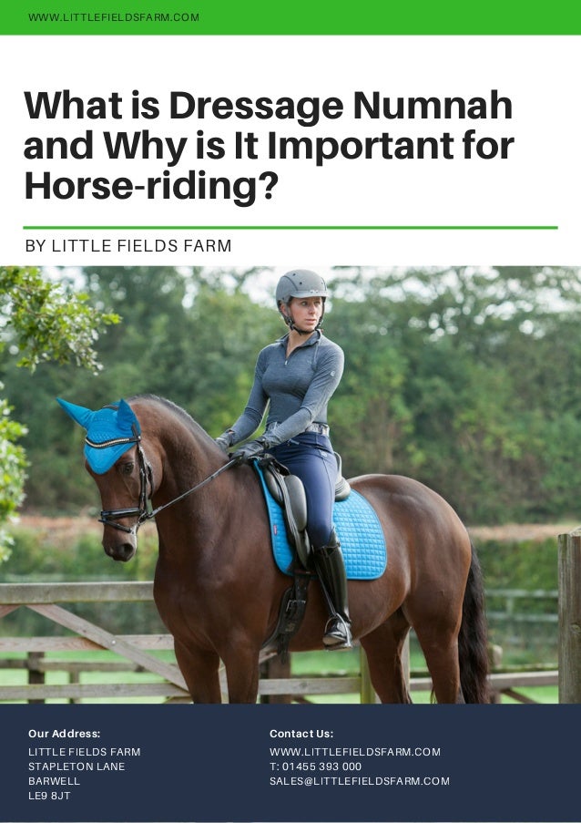 What is Dressage Numnah and Why is It Important for Horseriding?