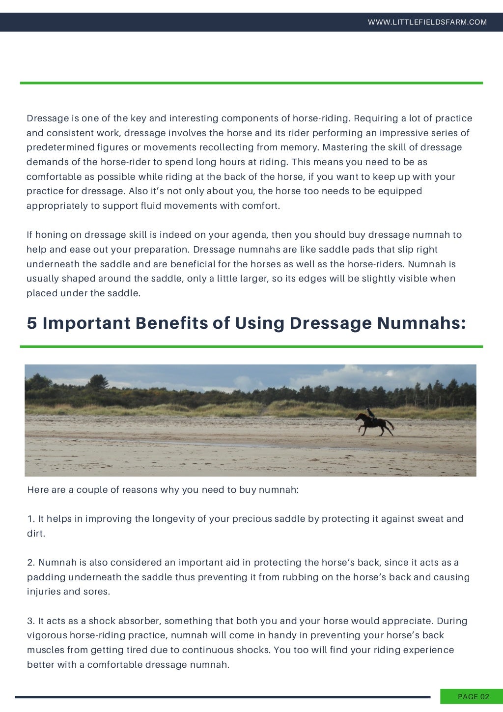 What is Dressage Numnah and Why is It Important for Horseriding?