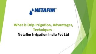 What is Drip Irrigation, Advantages,
Techniques -
Netafim Irrigation India Pvt Ltd
 