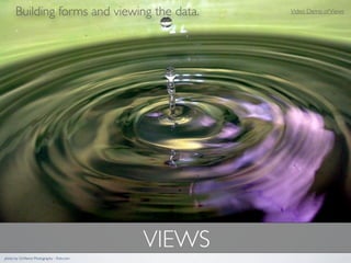 Building forms and viewing the data.          Video Demo of Views




                                             VIEWS
photo by Girlﬁerce Photography - ﬂickr.com
 