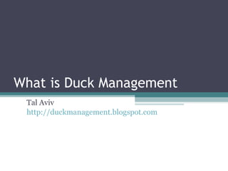 What is Duck Management Tal Aviv http://duckmanagement.blogspot.com 