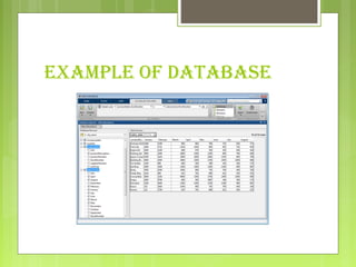 EXAMPLE OF DATABASE
 