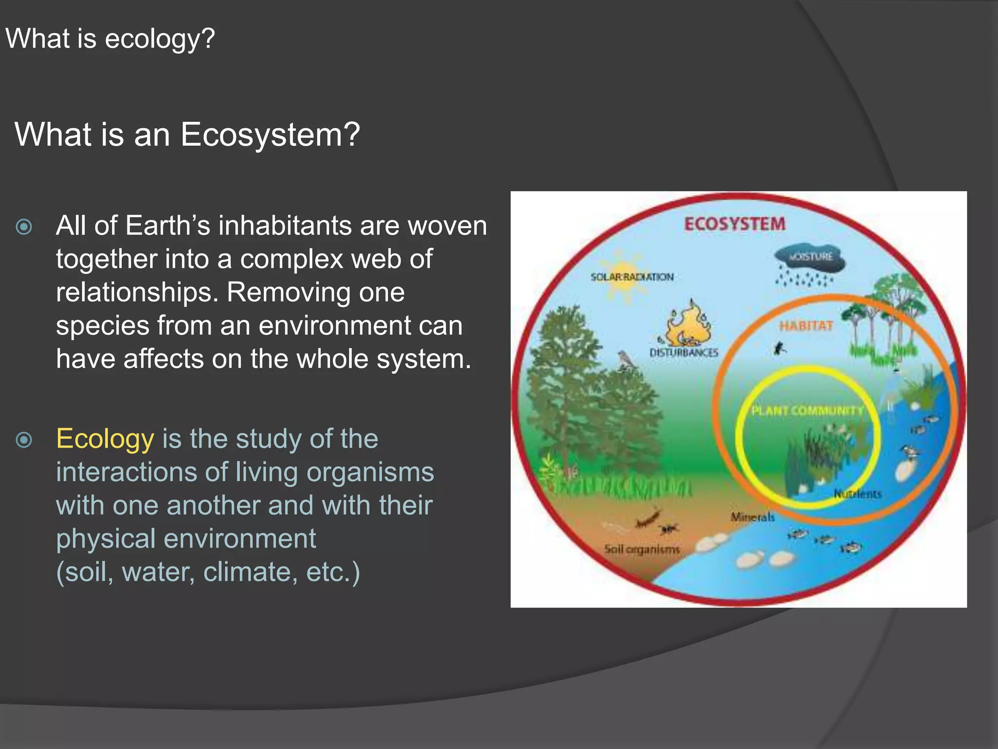 What is ecology | PPTX