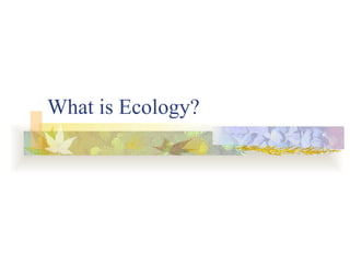 What is Ecology? 