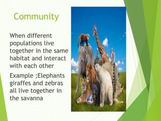 Community
When different
populations live
together in the same
habitat and interact
with each other
Example ;Elephants
giraffes and zebras
all live together in
the savanna
 