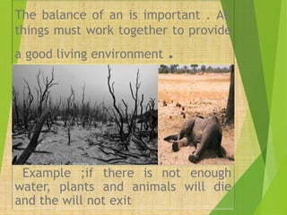The balance of an is important . All
things must work together to provide
a good living environment .
Example ;if there is not enough
water, plants and animals will die
and the will not exit
 