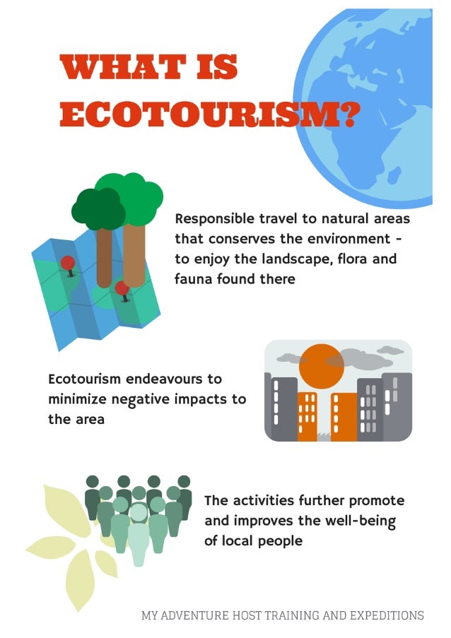 What is ecotourism