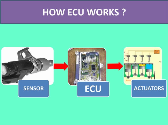 engine control unit (ECU) | PPT