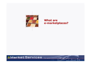 What are
e-marketplaces?




                  10
 