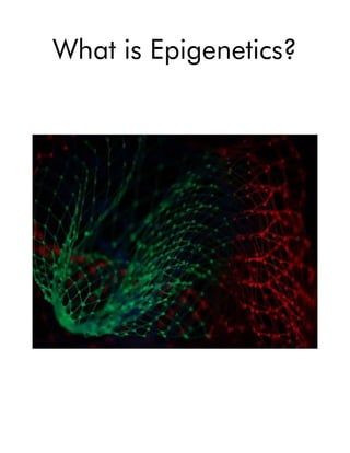 What is Epigenetics?
 