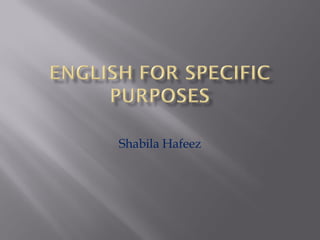 Shabila Hafeez
 