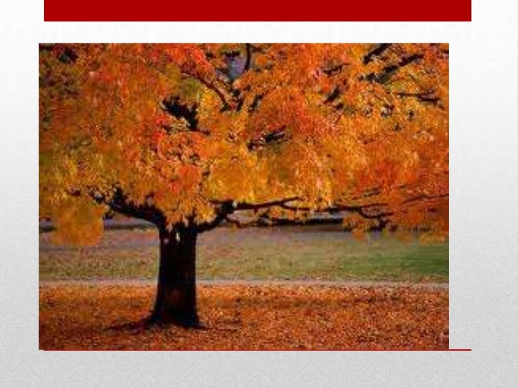 difference autumn vs fall