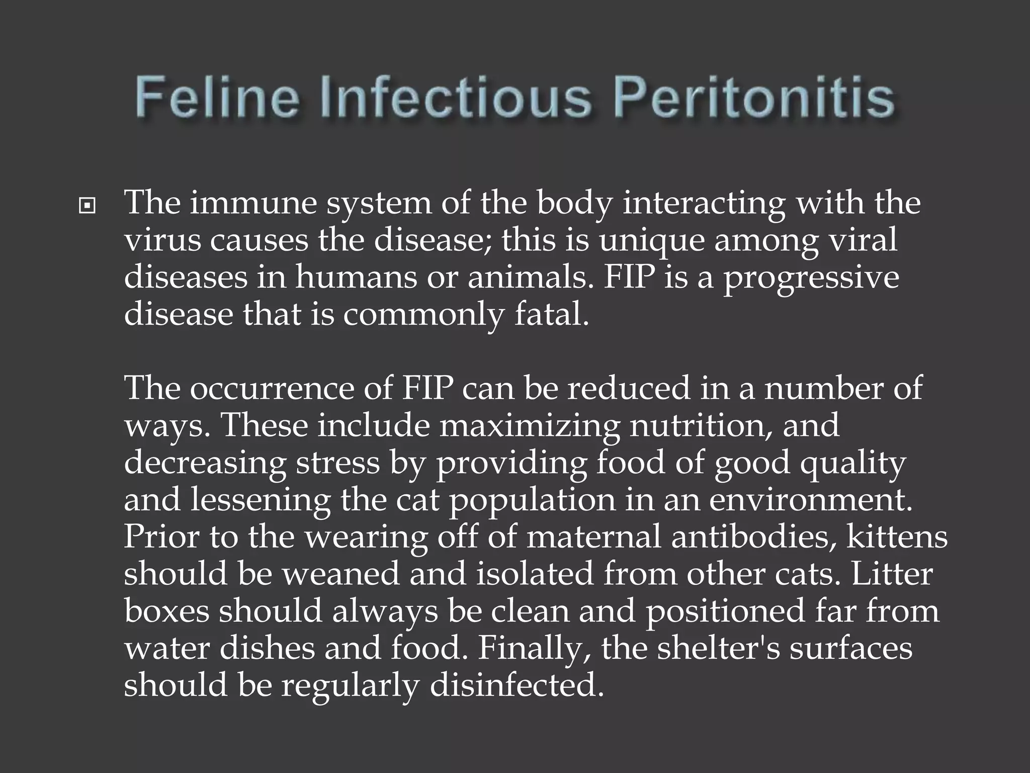What is Feline Infectious Peritonitis? | PPTX