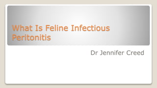 What Is Feline Infectious
Peritonitis
Dr Jennifer Creed
 
