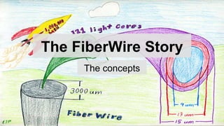 The FiberWire Story
The concepts
 