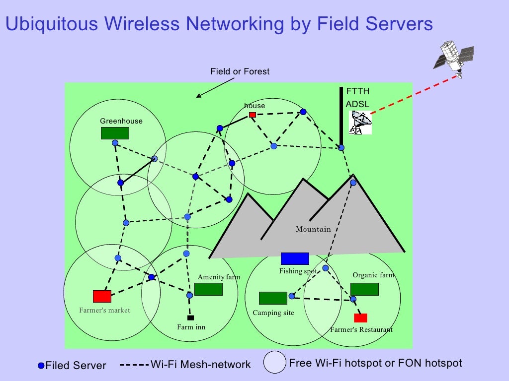 What Is Field Server