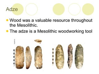 Adze Wood was a valuable resource throughout the Mesolithic.  The adze is a Mesolithic woodworking tool 