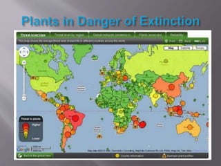What is flora evaluation project