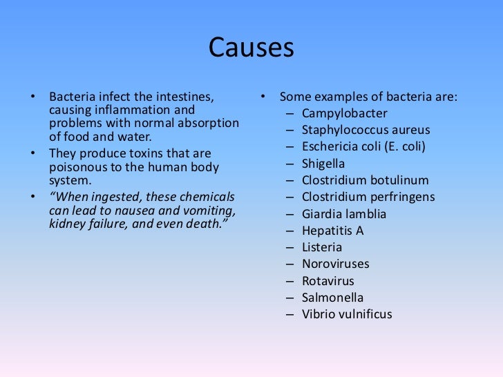 Main Cause Food Poisoning Main Cause Food Poisoning