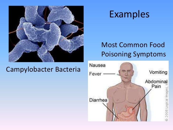 What is food poisoning
