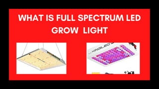 WHAT IS FULL SPECTRUM LED
GROW LIGHT
 