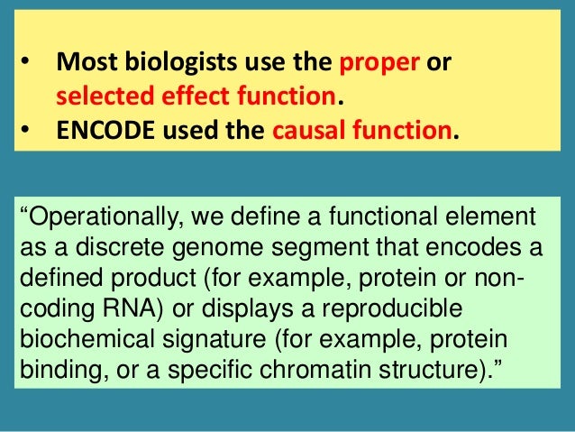 What is Biological Function?