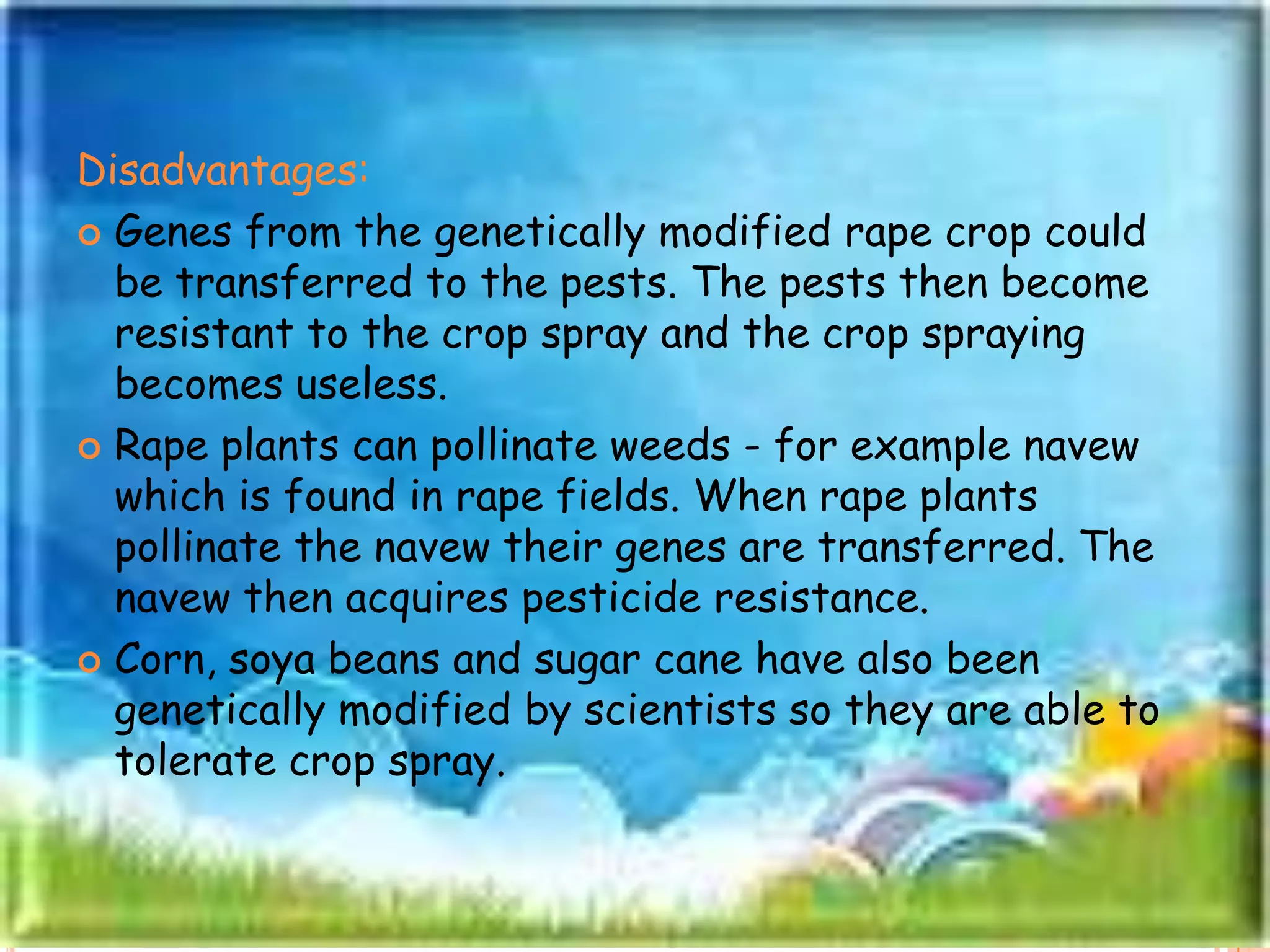 Disadvantages:Genes from the genetically modified rape crop could be transferred to the pests. The pests then become resistant to the crop spray and the crop spraying becomes useless. Rape plants can pollinate weeds - for example navew which is found in rape fields. When rape plants pollinate the navew their genes are transferred. The navew then acquires pesticide resistance.Corn, soya beans and sugar cane have also been genetically modified by scientists so they are able to tolerate crop spray. 