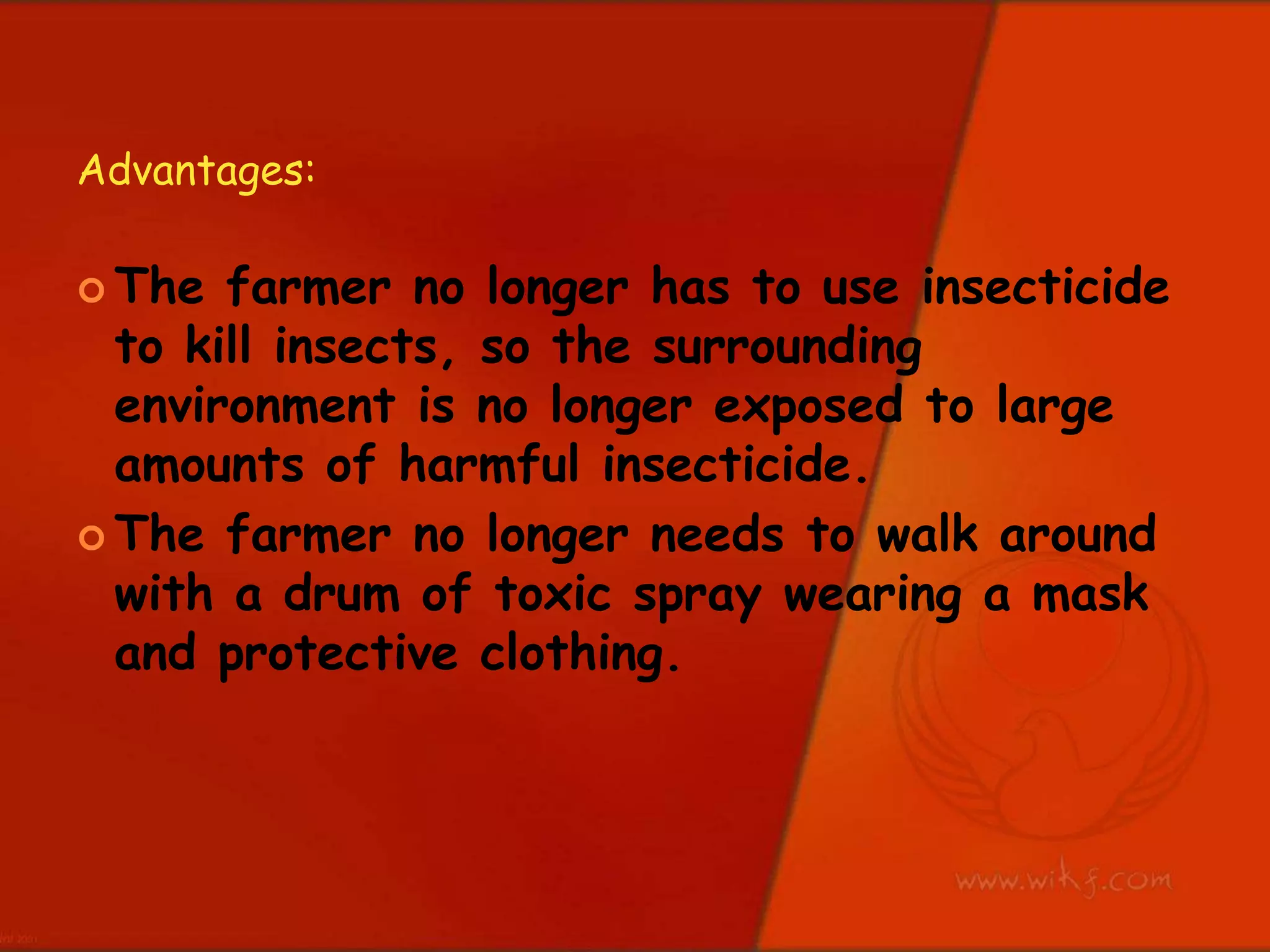 Advantages: The farmer no longer has to use insecticide to kill insects, so the surrounding environment is no longer exposed to large amounts of harmful insecticide.The farmer no longer needs to walk around with a drum of toxic spray wearing a mask and protective clothing.