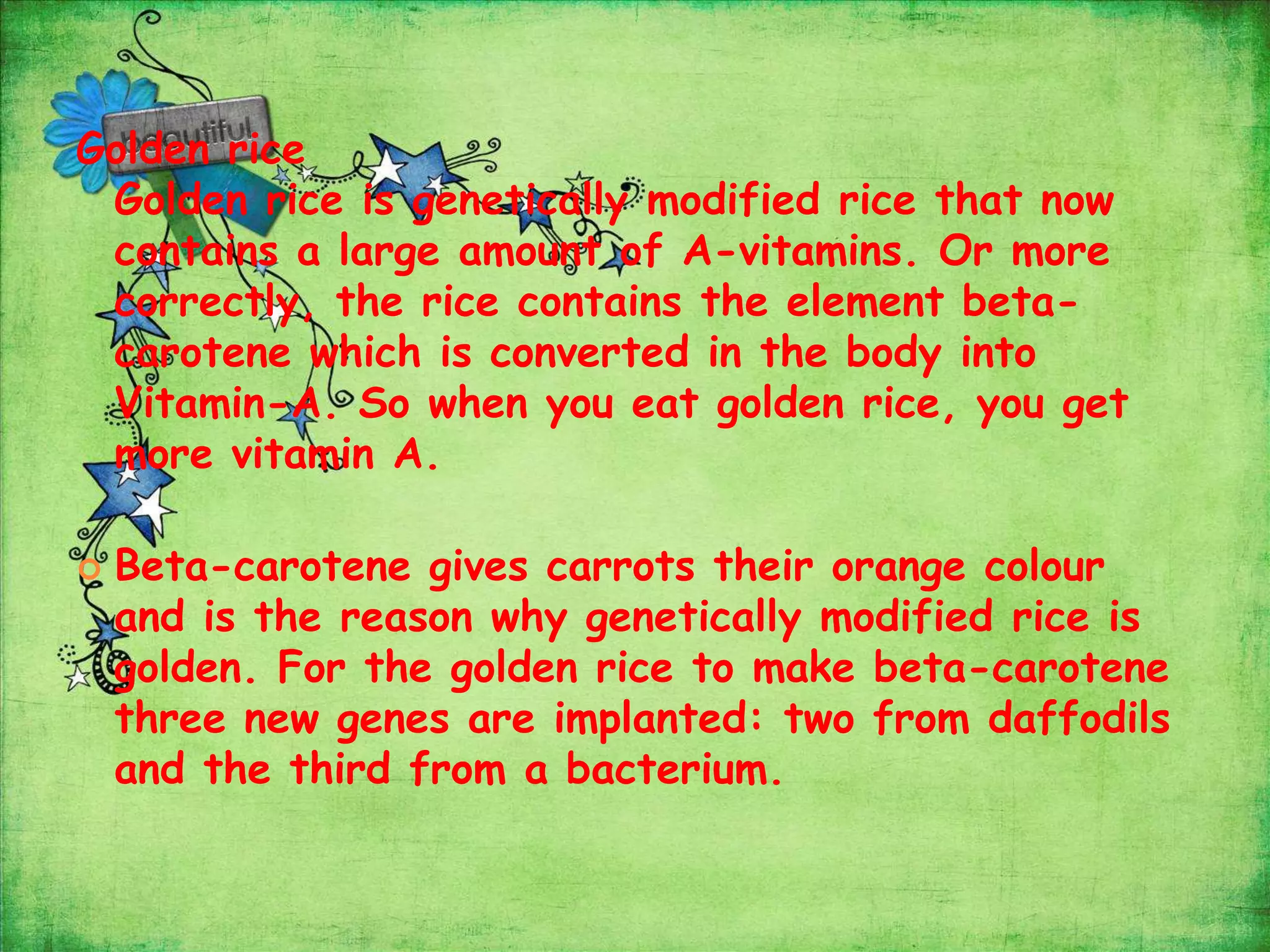 Golden riceGolden rice is genetically modified rice that now contains a large amount of A-vitamins. Or more correctly, the rice contains the element beta-carotene which is converted in the body into Vitamin-A. So when you eat golden rice, you get more vitamin A.Beta-carotene gives carrots their orange colour and is the reason why genetically modified rice is golden. For the golden rice to make beta-carotene three new genes are implanted: two from daffodils and the third from a bacterium. 