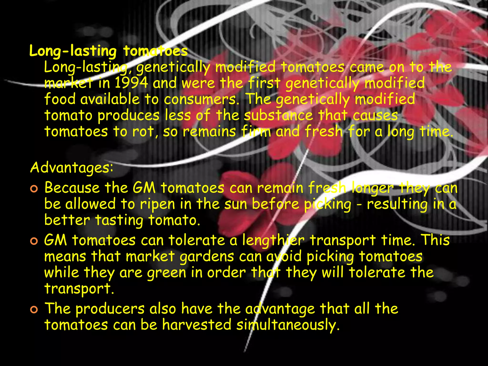 Long-lasting tomatoesLong-lasting, genetically modified tomatoes came on to the market in 1994 and were the first genetically modified food available to consumers. The genetically modified tomato produces less of the substance that causes tomatoes to rot, so remains firm and fresh for a long time.Advantages:Because the GM tomatoes can remain fresh longer they can be allowed to ripen in the sun before picking - resulting in a better tasting tomato.GM tomatoes can tolerate a lengthier transport time. This means that market gardens can avoid picking tomatoes while they are green in order that they will tolerate the transport. The producers also have the advantage that all the tomatoes can be harvested simultaneously.