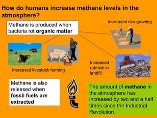 How do humans increase methane levels in the
atmosphere?
The amount of methane in
the atmosphere has
increased by two and a half
times since the Industrial
Revolution.
Increased
rubbish in
landfill
Increased livestock farming
Increased rice growing
Methane is also
released when
fossil fuels are
extracted
Methane is produced when
bacteria rot organic matter
 