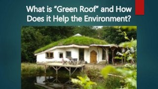 What is “Green Roof” and How
Does it Help the Environment?
 