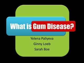 What is Gum Disease?
      Yelena Paliyeva
        Ginny Loeb
         Sarah Boe
 