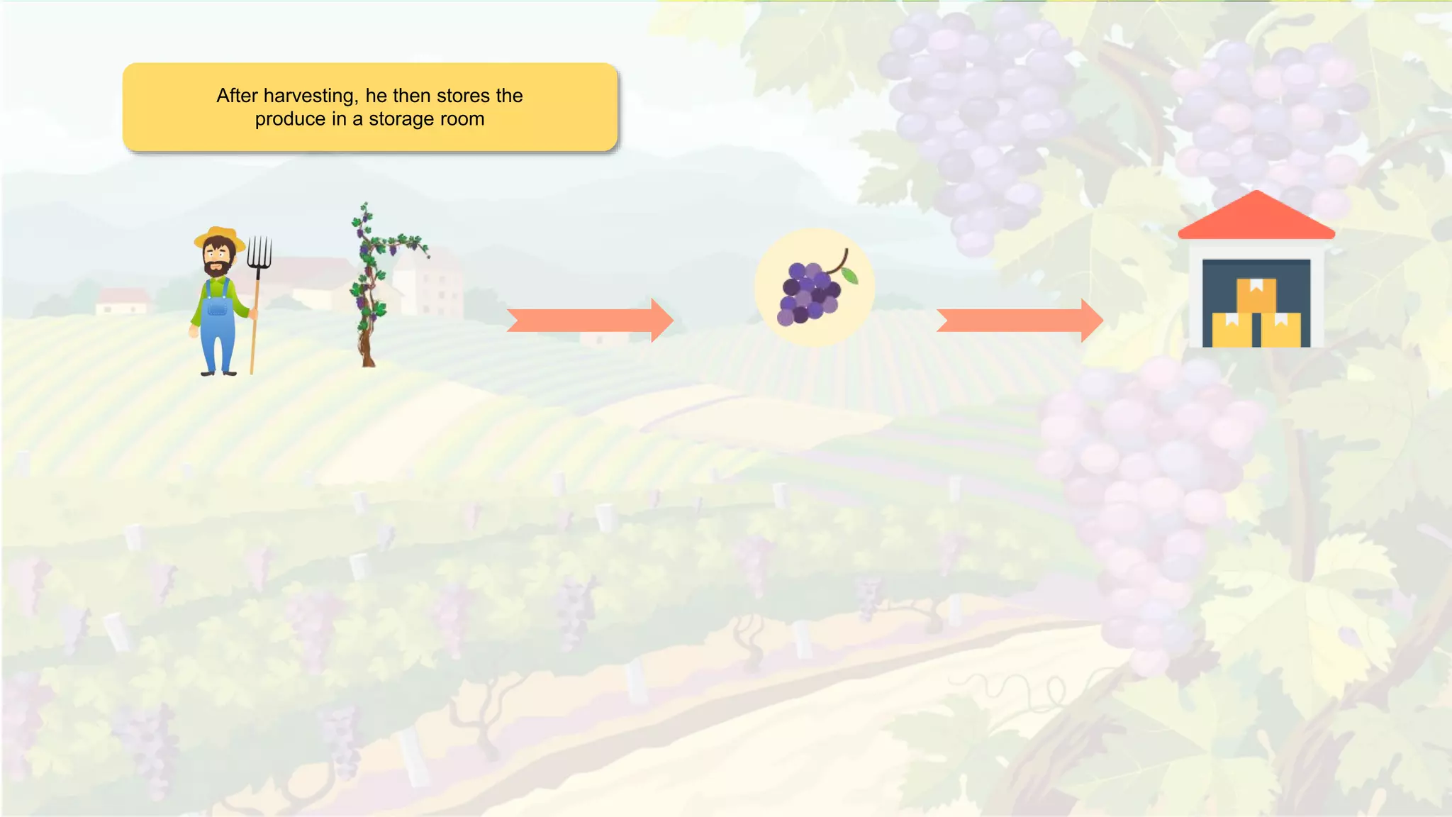 After harvesting, he then stores the
produce in a storage room
 