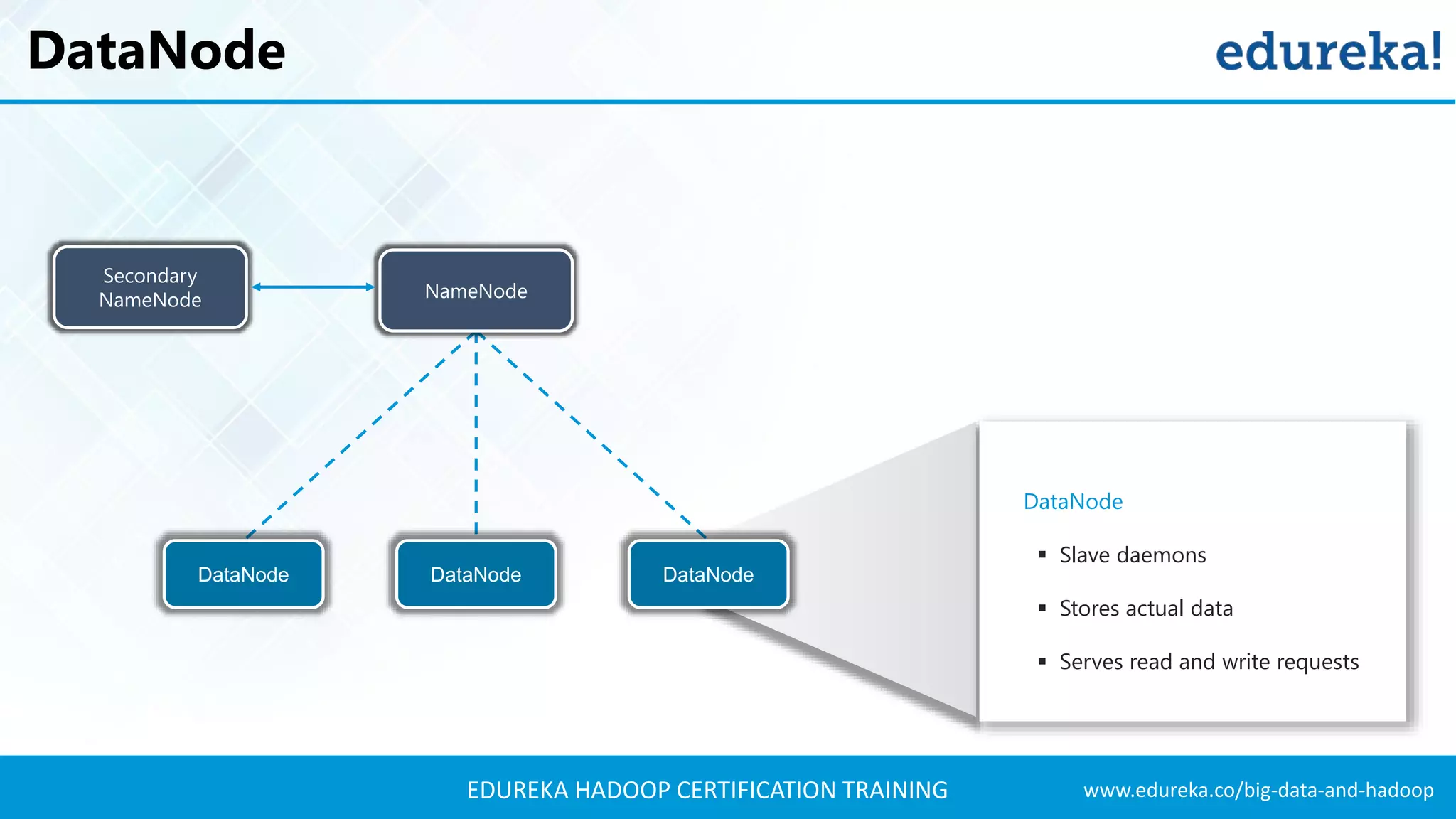 www.edureka.co/big-data-and-hadoopEDUREKA HADOOP CERTIFICATION TRAINING DataNode DataNode ▪ Slave daemons ▪ Stores actual data ▪ Serves read and write requests NameNode DataNode DataNodeDataNode Secondary NameNode 