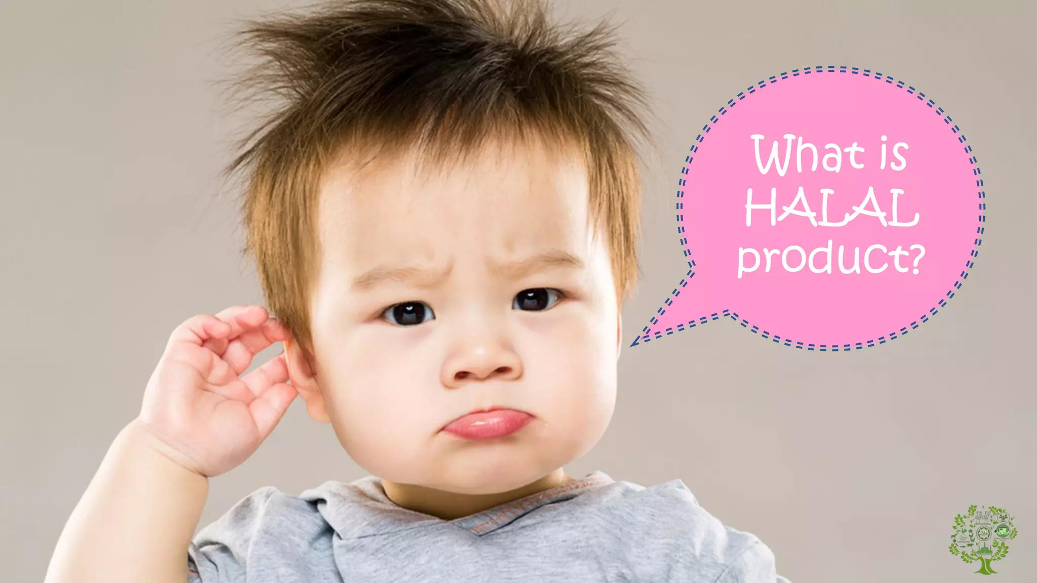 What is halal products? | PDF