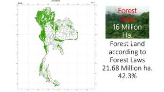 Forest Land
according to
Forest Laws
21.68 Million ha.
42.3%
Forest
area
16 Million
Ha.
32%
 