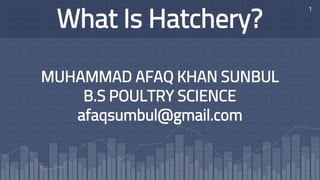 What Is Hatchery?
MUHAMMAD AFAQ KHAN SUNBUL
B.S POULTRY SCIENCE
afaqsumbul@gmail.com
1
 