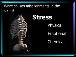 What causes misalignments in the spine?  Physical Stress Emotional Chemical 