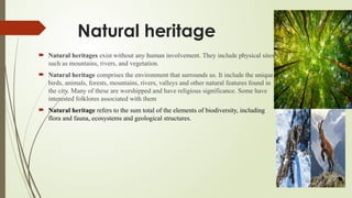 Natural heritage
 Natural heritages exist without any human involvement. They include physical sites
such as mountains, rivers, and vegetation.
 Natural heritage comprises the environment that surrounds us. It include the unique
birds, animals, forests, mountains, rivers, valleys and other natural features found in
the city. Many of these are worshipped and have religious significance. Some have
interested folklores associated with them
 Natural heritage refers to the sum total of the elements of biodiversity, including
flora and fauna, ecosystems and geological structures.
 