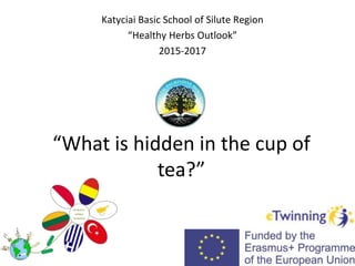 “What is hidden in the cup of
tea?”
Katyciai Basic School of Silute Region
“Healthy Herbs Outlook”
2015-2017
 