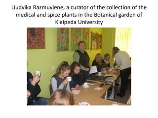 Liudvika Razmuviene, a curator of the collection of the
medical and spice plants in the Botanical garden of
Klaipeda University
 